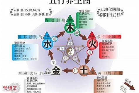 五行缺水缺木|五行缺木对我们有什么影响？